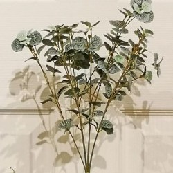 15.5IN BEGONIA LVS BUSH