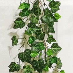 41IN MAPLE LVS VINE