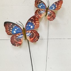 5X18&6X18 BUTTERFLY PICK X2
