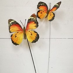 5X18&6X18 BUTTERFLY PICK X2