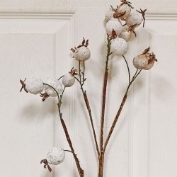 29.5 ROSEHIP SPRAY