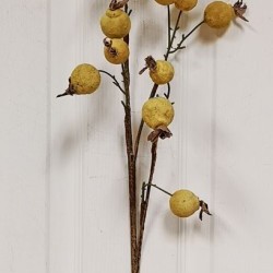 29.5 ROSEHIP SPRAY