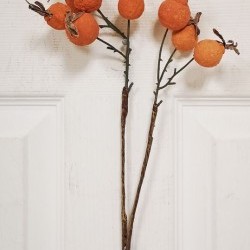 17.5 ROSEHIP SPRAY