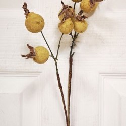 17.5 ROSEHIP SPRAY