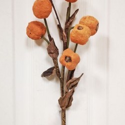23IN CRAB APPLE SPARY