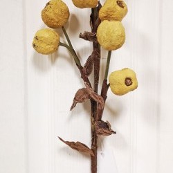 23IN CRAB APPLE SPARY