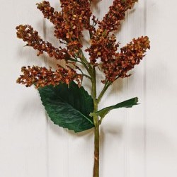 27IN AMARANTHUS SPRAY