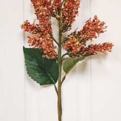 27IN AMARANTHUS SPRAY