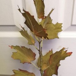 19.5IN MAPLE LEAF