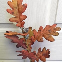 19IN OAK LEAF