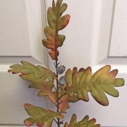 19IN OAK LEAF