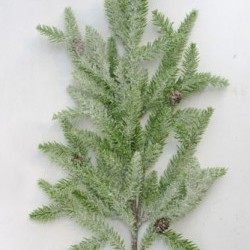26IN ICE PINE SPRAY