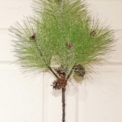 40IN ICE NEEDLE PINE SPRAY