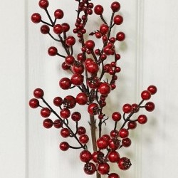 14" BERRY SPRAY