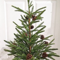 20X40 PINE BURLAP TREE
