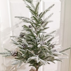 20X40 PINE BURLAP TREE