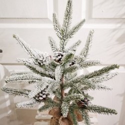 12X20 PINE BURLAP TREE