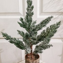 8X20 PINE TREE BIRCH POT