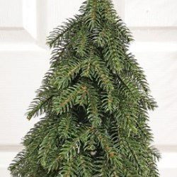 9X18 PINE IN BURLAP BASE