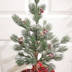 10X20 PINE TREE&CLOTH BASE