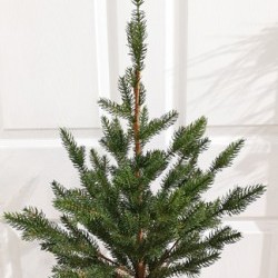 16X28 PINE TREE BURLAP