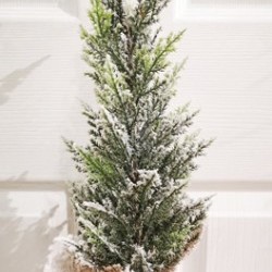 5X17 PINE TREE BURLAP