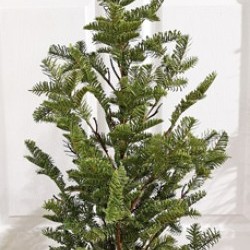20X42 PINE TREE WHT CLAY POT