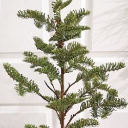 14X26 PINE TREE WHT CLAY POT