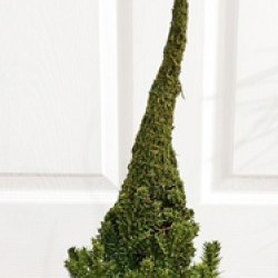 9X28 PINE TREE