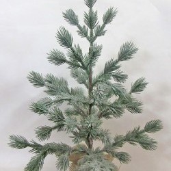 24IN ICE PINE IN BURLAP