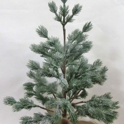 28IN ICE PINE IN BURLAP